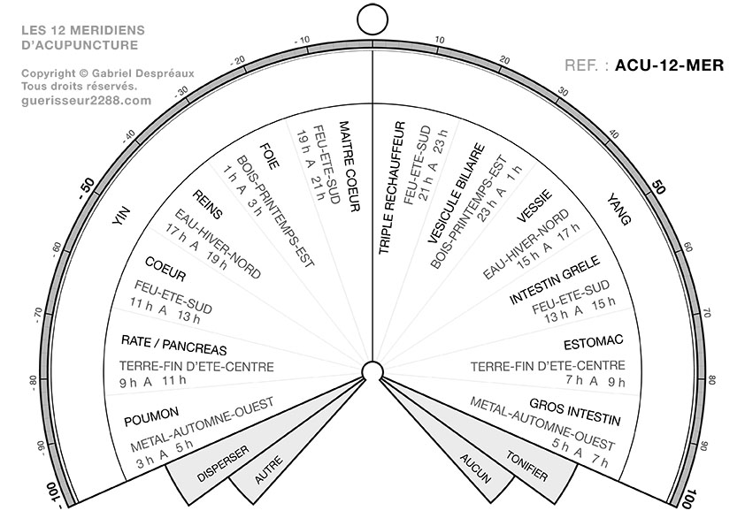 guerisseur desenvouteur - Guerisseur spirituel :   Acupuncture – Méridiens