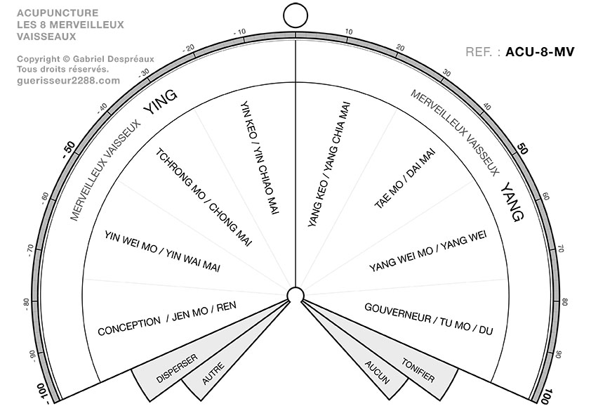 guerisseur desenvouteur - Guerisseur spirituel :   Acupuncture – Merveilleux vaisseaux