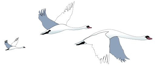 guérisseur magnétiseur cygnes