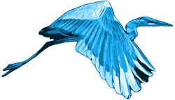 guérisseur magnétiseur phoenix bleu