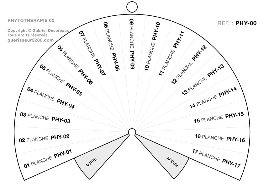 guerisseur desenvouteur - Guerisseur spirituel :   Phytothérapie, planche de base