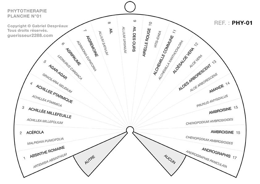 guerisseur desenvouteur - Guerisseur spirituel :   Phytothérapie 01