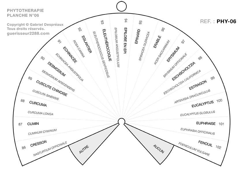 guerisseur desenvouteur - Guerisseur spirituel :   Phytothérapie 06