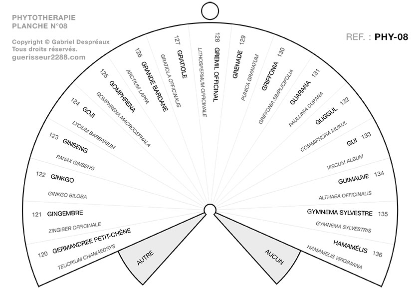 guerisseur desenvouteur - Guerisseur spirituel :   Phytothérapie 08
