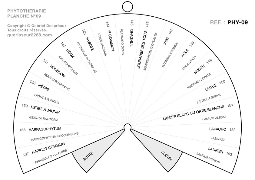 guerisseur desenvouteur - Guerisseur spirituel :   Phytothérapie 09