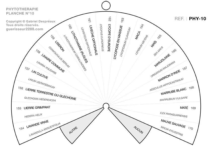 guerisseur desenvouteur - Guerisseur spirituel :   Phytothérapie 10