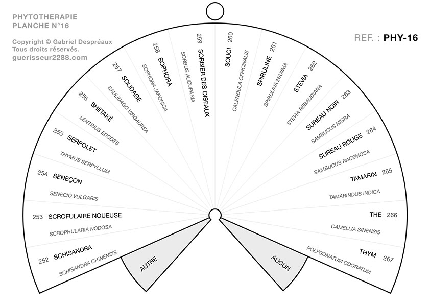guerisseur desenvouteur - Guerisseur spirituel :   Phytothérapie 16