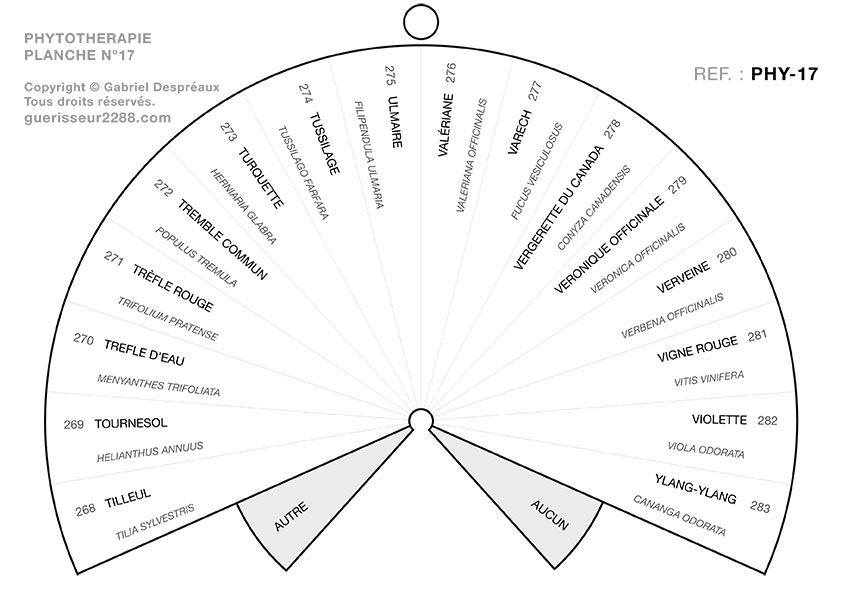 guerisseur desenvouteur - Guerisseur spirituel :   Phytothérapie 17