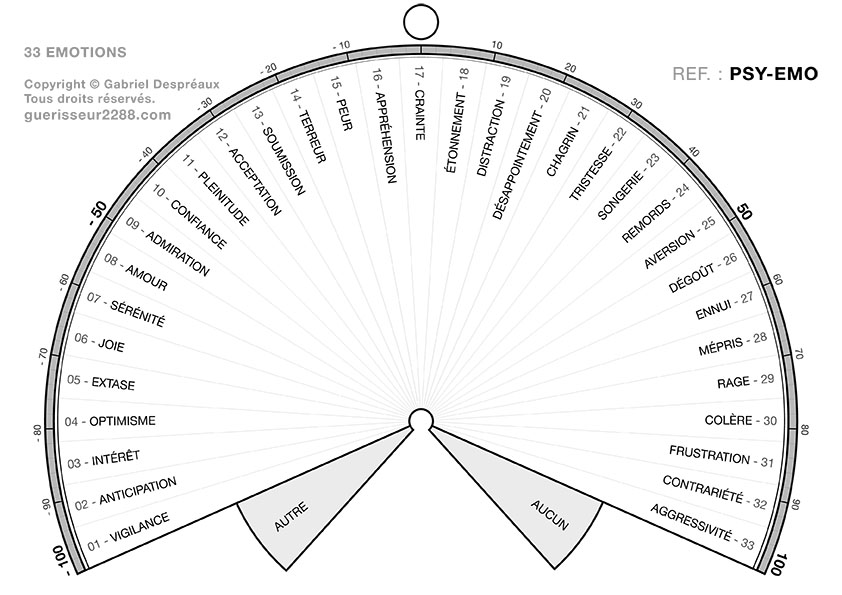 guerisseur desenvouteur - Guerisseur spirituel :   Emotions